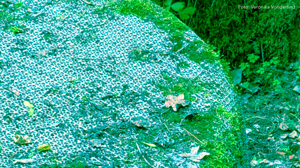 Titelbild der Ausstellung "Too young to die old". Moosbewachsener Gartentisch